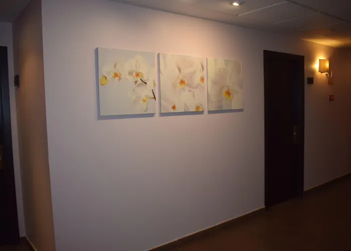 Hotel La Bamba Navalmoral De La Mata